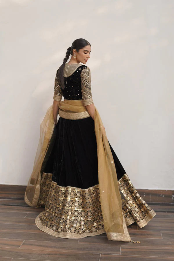 velvet lehnga choli for female