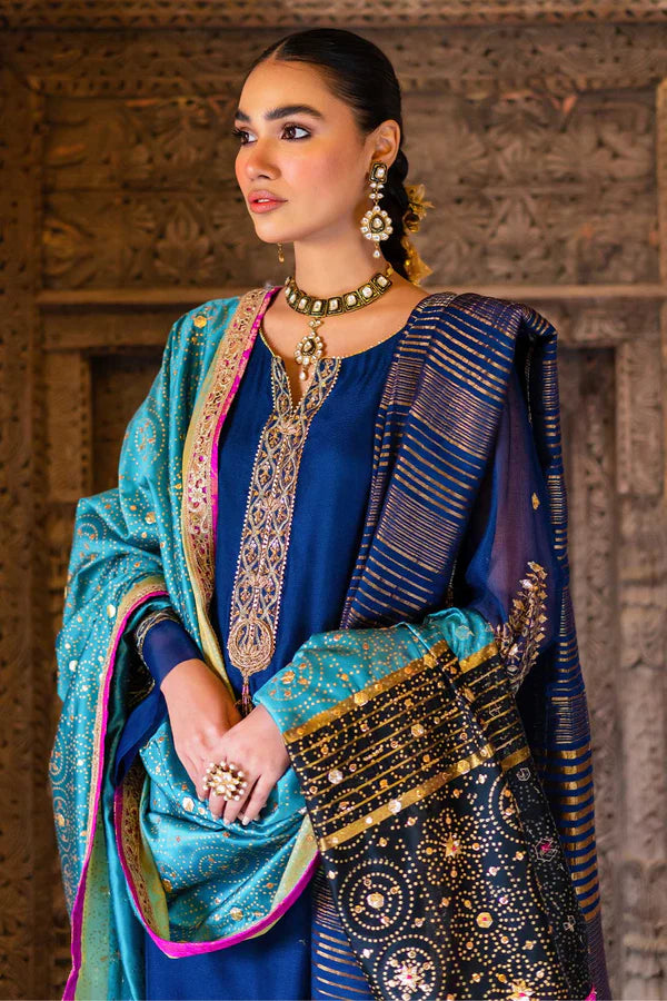 zari shawl for women